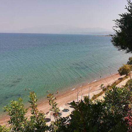 Koralli Sea View Hotel Káto Achaḯa Exterior foto